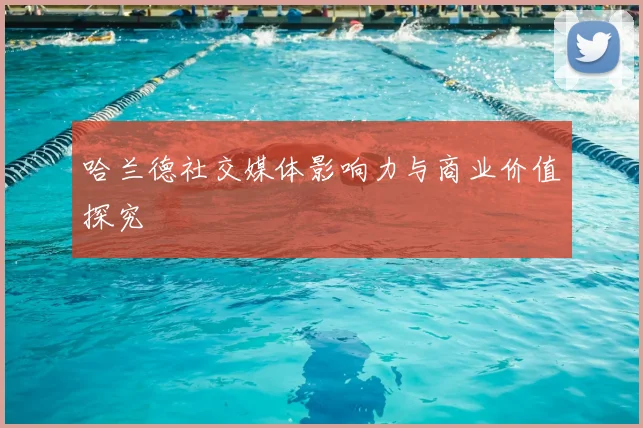 哈兰德社交媒体影响力与商业价值探究