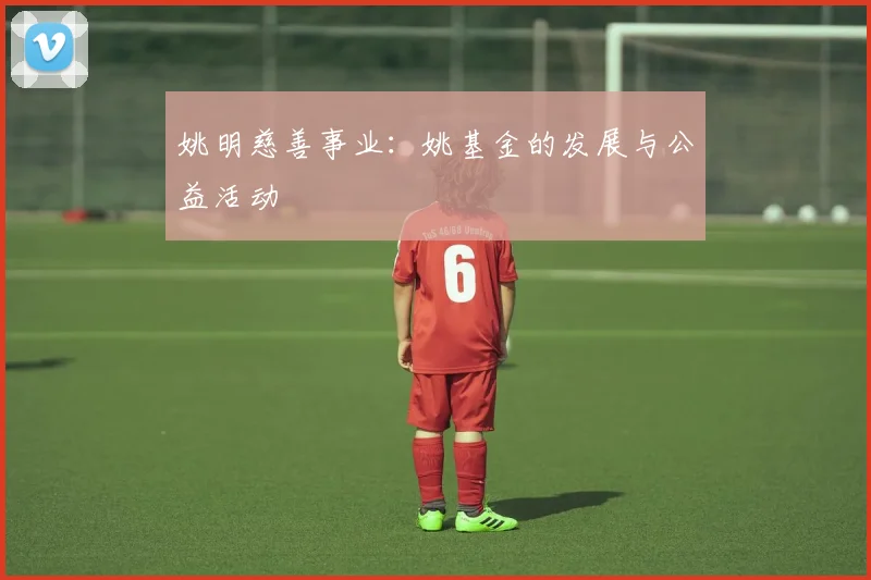 姚明慈善事业：姚基金的发展与公益活动