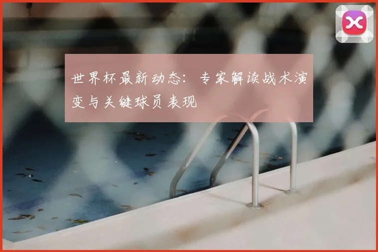 世界杯最新动态：专家解读战术演变与关键球员表现