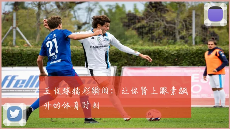 五佳球精彩瞬间：让你肾上腺素飙升的体育时刻